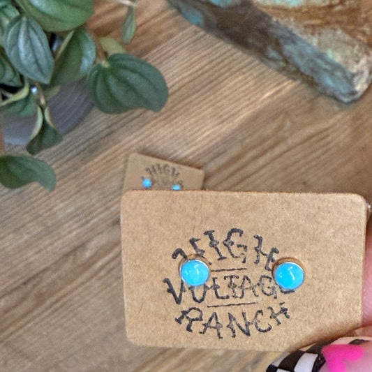 Dainty Kingman Turquoise Stud Earrings